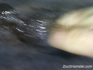 Dude fingering a sexy mare's tight butthole in a POV video