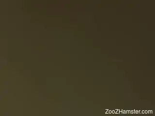 Deep animal porn sensations for amateur lovers on fire