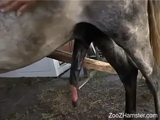 Small-breasted babe gets banged like a cheap hoe
