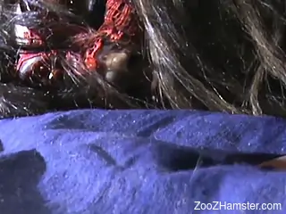 Red mask zoophile getting fucked by a black dog