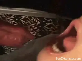 Dark-haired babe enjoying missionary sex with a dog