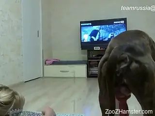 Masked blonde casually blowing a big-cocked doggo