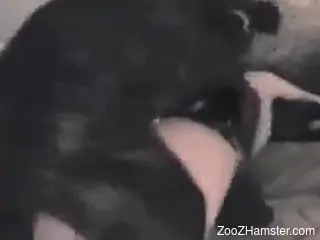 Thirsty hottie getting ready for savage bestiality
