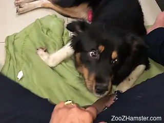 Sexy animal is ready to fuck that cooch on camera