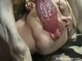 Glasses-wearing super-nerd finally sucks a dog's cock