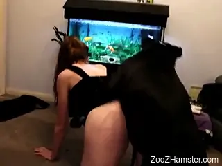 Perky booty zoophile happily fucking a VERY dominant dog