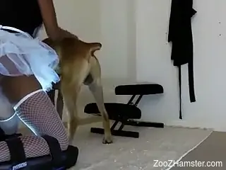 Fishnets-wearing ebony hottie getting fucked silly