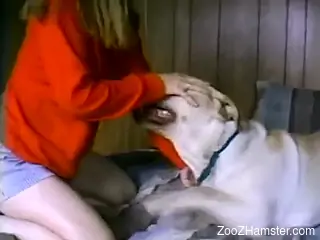 Canine cock gets to gape a hottie's moist hole