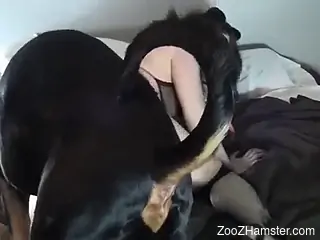 Busty nude beauty handles a big dog dick in her hands