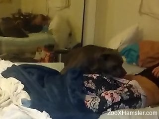 Rough home sex with the dog for a thick amateur woman