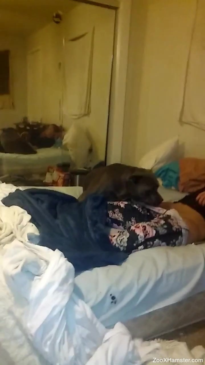 Rough home sex with the dog for a thick amateur woman pic