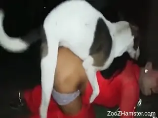 Clothed mature ends up smashing the dog dick in her cunt
