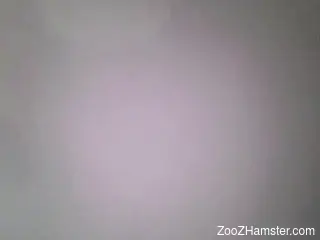 Sneaky sex scene featuring a dog-loving zoophile