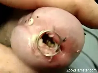 Brutal scat in scenes of zoophilia for a naked whore