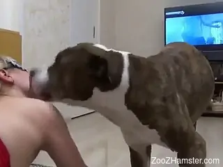 Dog ass licks woman and fucks her pussy hard