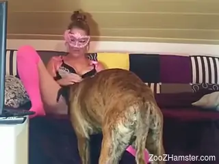 Energized nude woman combined masturbation with zoophilia