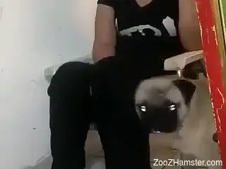 Chubby ass amateur woman lets her dog lick her snatch