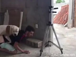 Dude getting blasted brutally by a gay animal