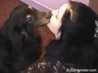 Brunette dressed in black getting throated brutally
