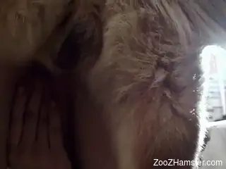 Redheaded chick deepthroating and fucking the beast