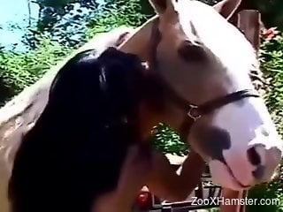 Big booty zoophile is happy to fuck a stallion