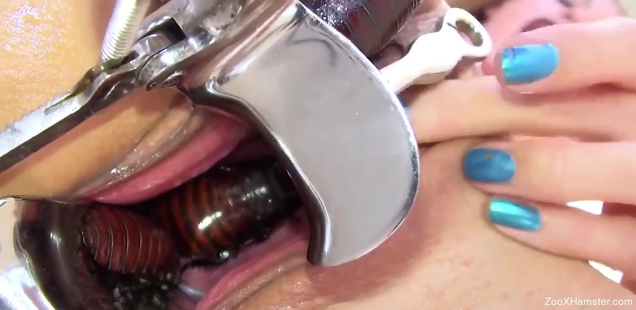 Horned-up zoophile lets cockroaches crawl inside her