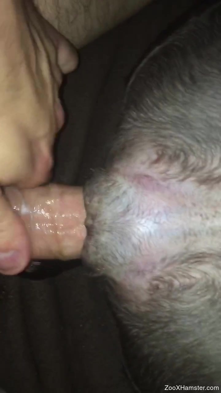 Hairy cock dude screwing a beast's hole up close