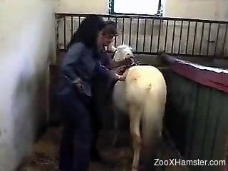 Sexy horse gets to enjoy a nice handjob in zoo porn