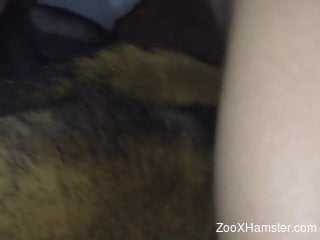 Guy's cock fucking an animal's pussy hole violently