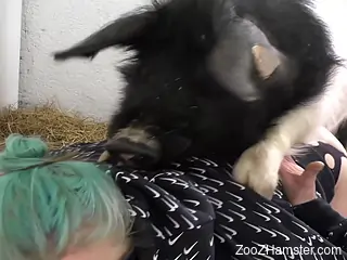 Mask-wearing hottie creampied by a very sexy pig