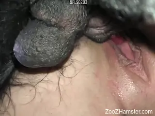 Pink pussy blonde screwed savagely by a doggo