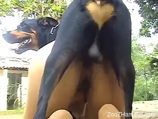 Saggy-breasted babe riding a dog's pretty cock