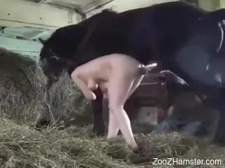 Meaty-assed chick bends over to fuck a hung horse