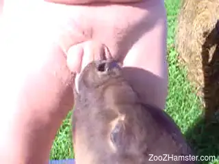 Big sexy animal deepthroating an awesome penis here