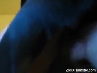 zoophile creampie video with a delicious zoophile