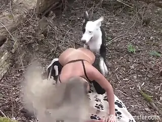 Awesome zoophile getting fucked in the woods
