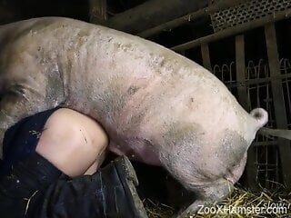 Pig fucking a lovely dude with tortured balls