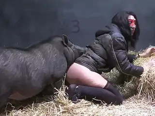 Latina with a perky ass gets banged in the barnyard