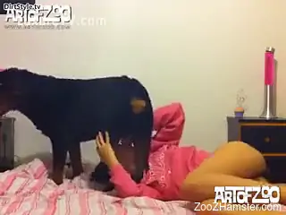 Brunette sucking a dog's dick up close to the cam