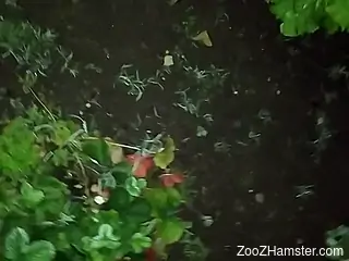 Dude with an uncut cock prepping to cum because of snails
