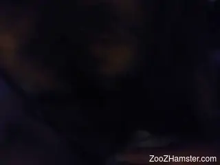 Nighttime zoophile fun with a perfect BBC in POV
