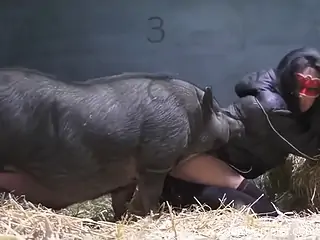 Babe in ripped jeans wants to fuck a beautiful boar
