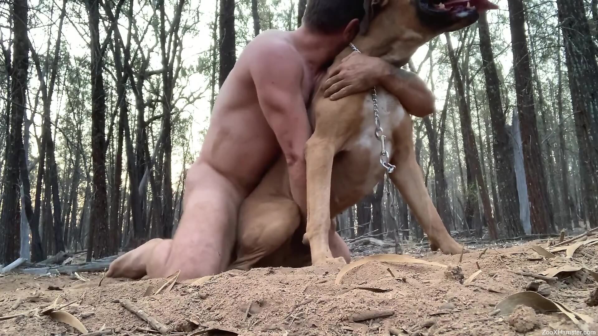 Muscular guy fucking a sexy brown beast from behind image