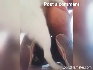 Quickie with a gay zoophile and his big-dicked boy