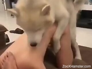 Dominant dude watches this zoophilic slut get fucked