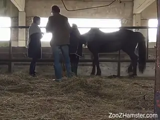 Inked lady with long legs enjoys hardcore zoo sex
