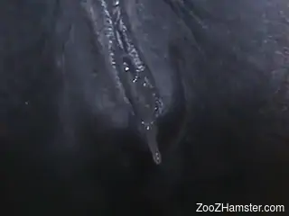 Dude uses his playful fingers to fuck a beast's hole