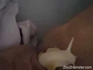 Woman inserts snail into her pussy for restless masturbation