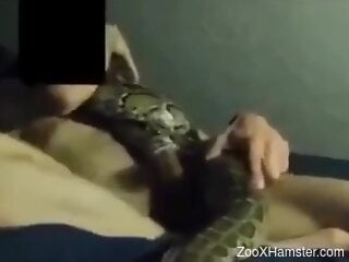 Dude prepares to fuck a snake in a taboo zoophile video