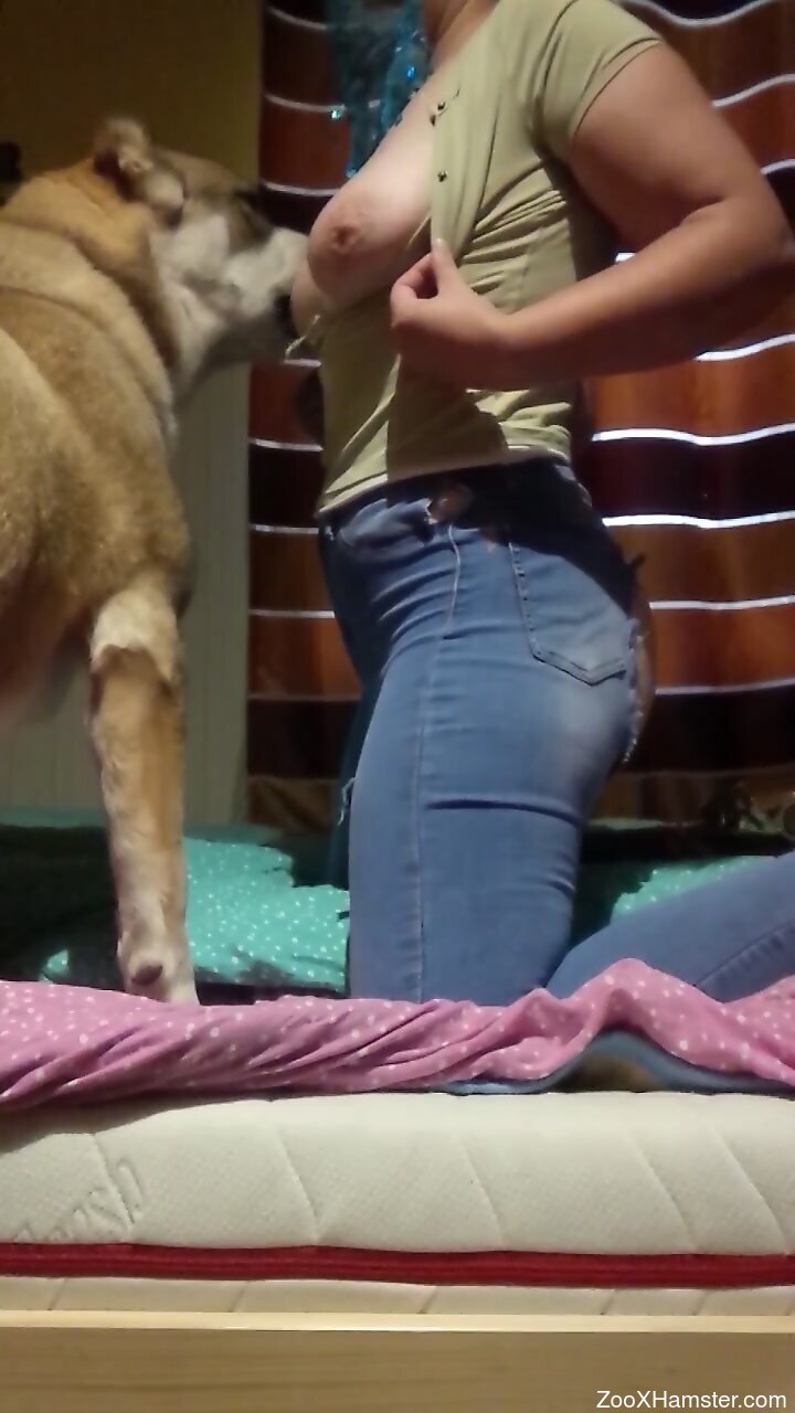 Giant dog humping pussy licking